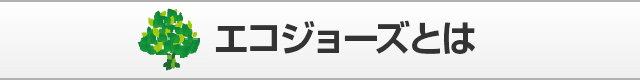 エコジョーズとは