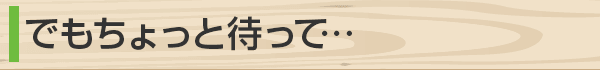 でもちょっと待って